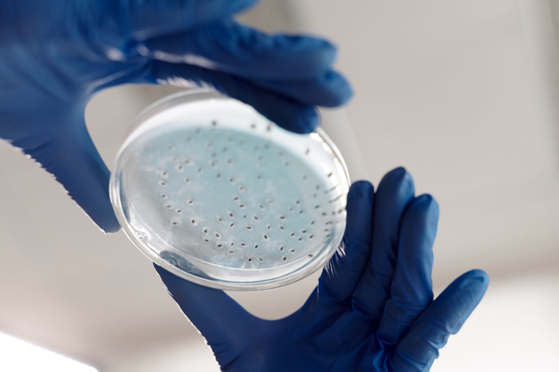 best water testing kits image