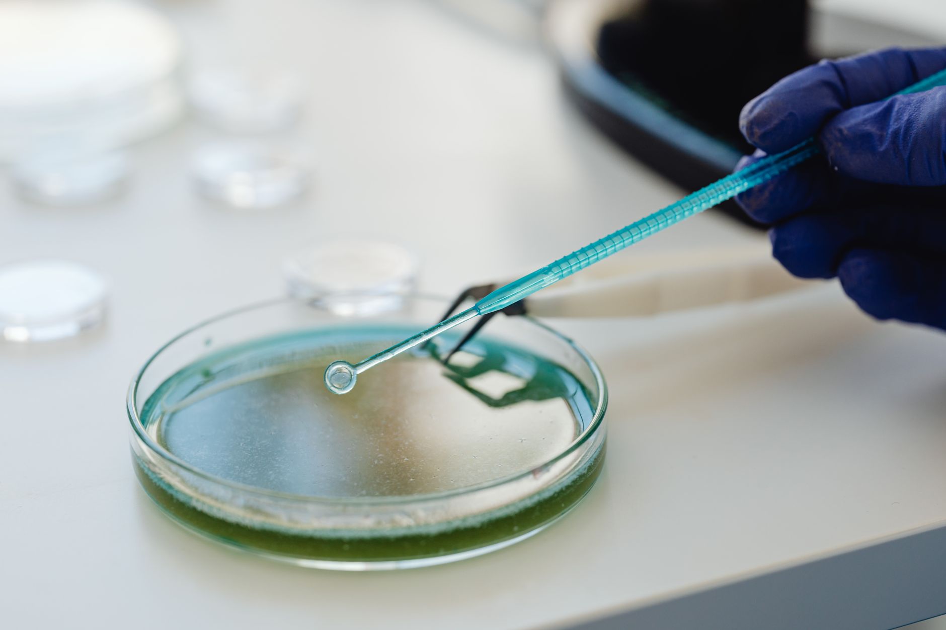 best water testing kits image