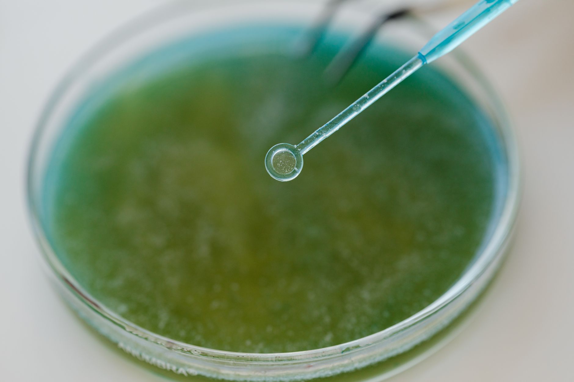 best water testing kits image