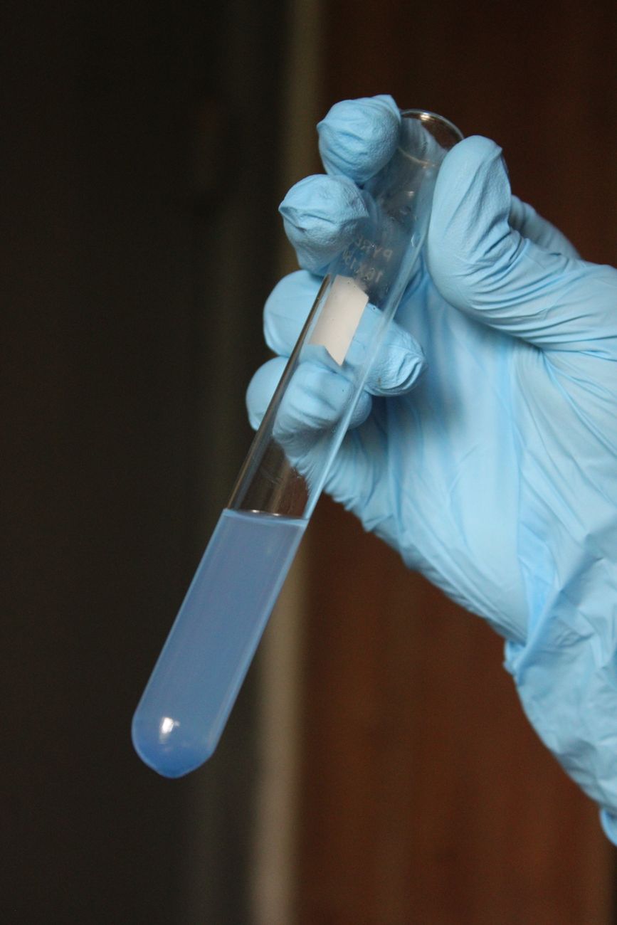 How to Test Water Hardness at Home: Test Strip Held Against a Color Chart