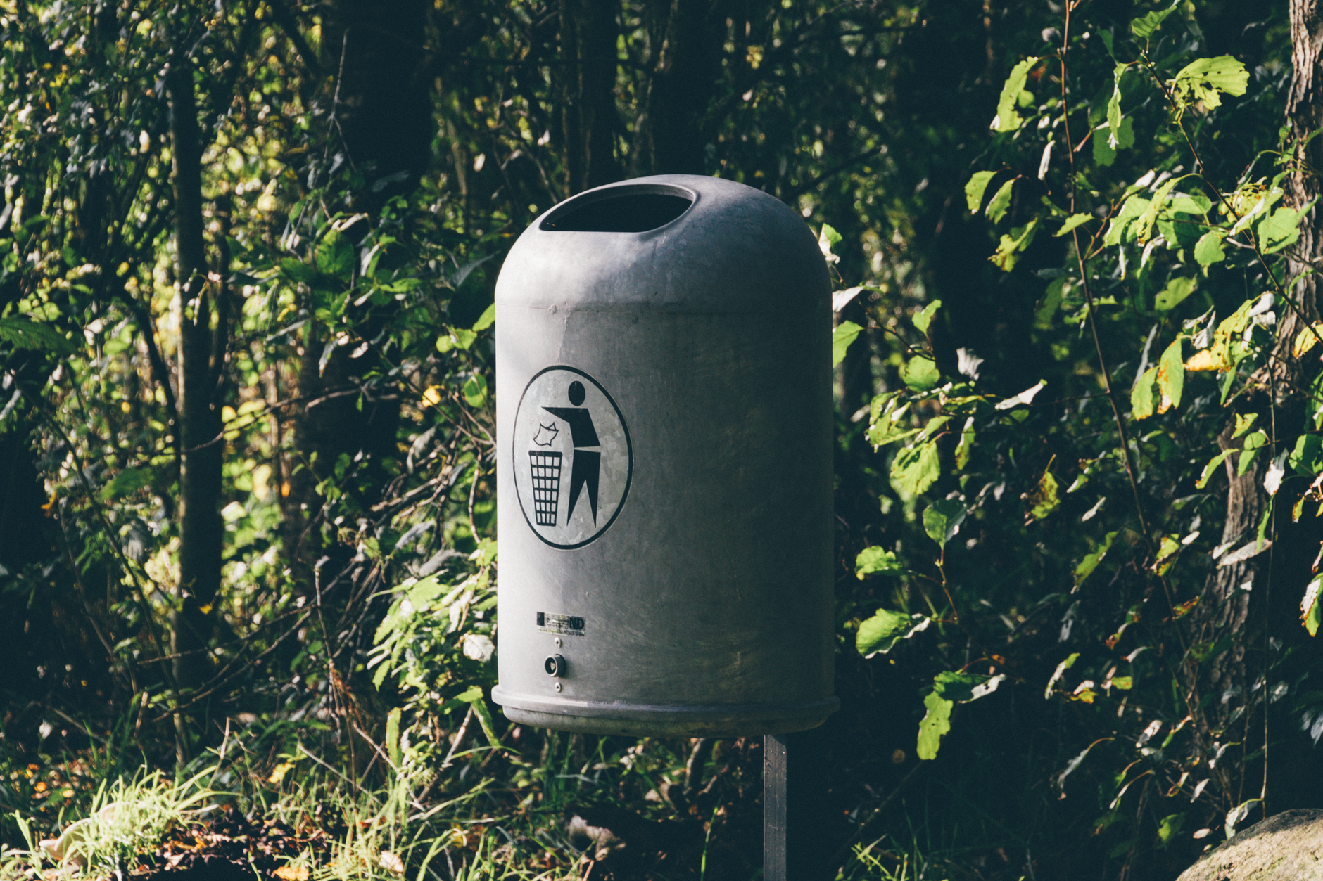 greywater recycling guide image