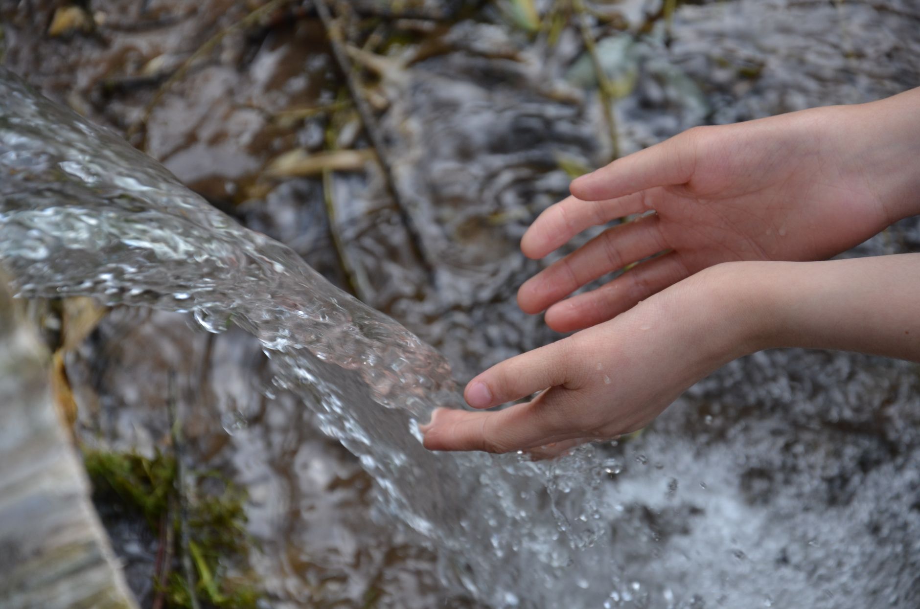 how to find water in wilderness image